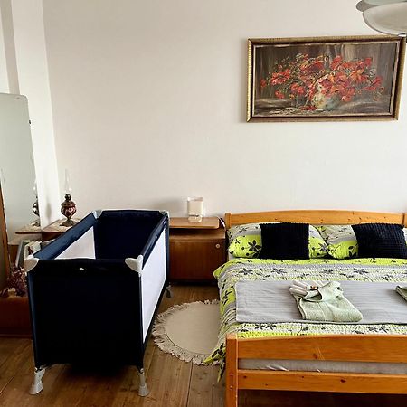 Nové Město nad MetujíSlunny Byt S Krasnym Vyhledemアパートメント エクステリア 写真